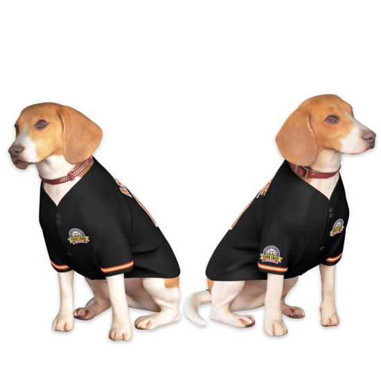 Custom Dog Baseball Jersey Personalized Sportswear for Small Pet Dogs With Name Number and Logo Plus Size Printed Feature