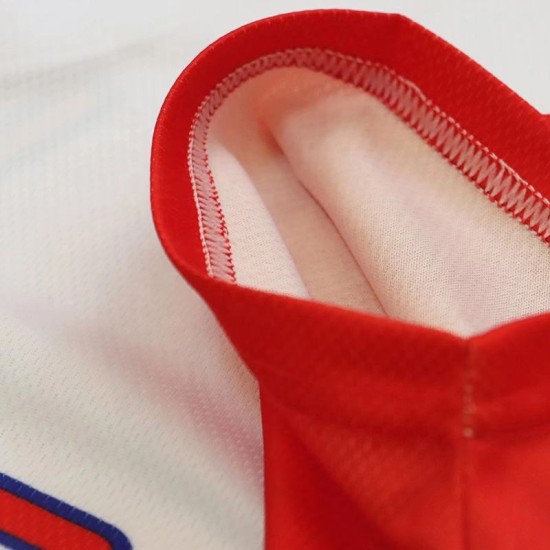 Baseball Softball Wear Francisco Lindor Puerto Rico National Baseball World Classic Jersey Baseball Softball Wear Francisco Lindor Puerto Rico National Baseball World Classic Jersey